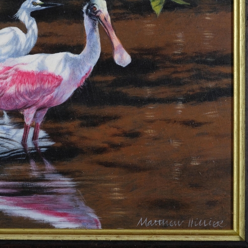 626 - Matthew Hillier (born 1958), spoonbills and snowy egret, acrylic on board, signed with SWLA exhibiti... 