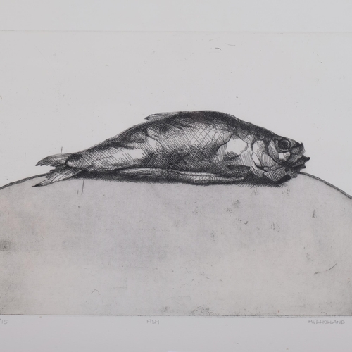 638 - Craig Mulholland (born 1969), fish, etching, signed in pencil, no. 5/15, plate 30cm x 40cm, framed