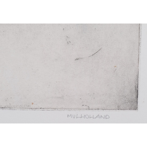 638 - Craig Mulholland (born 1969), fish, etching, signed in pencil, no. 5/15, plate 30cm x 40cm, framed