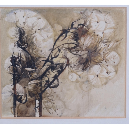 721 - James Winterbottom (born 1924), thistle heads, watercolour, signed and dated 1956, 30cm x 27cm, fram... 