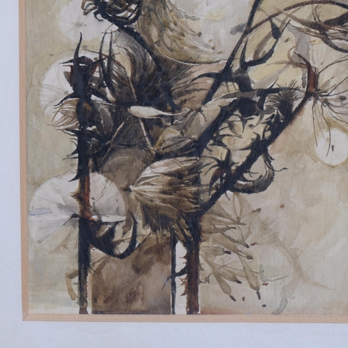 721 - James Winterbottom (born 1924), thistle heads, watercolour, signed and dated 1956, 30cm x 27cm, fram... 