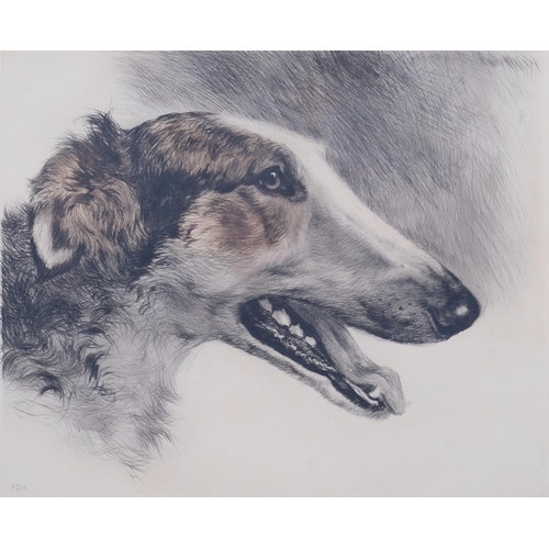 730 - Kurt Meyer-Eberhardt (1895 - 1977), Borzoi dog, coloured etching, signed in pencil, plate 24cm x 30c... 