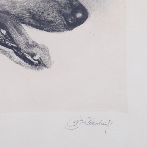 730 - Kurt Meyer-Eberhardt (1895 - 1977), Borzoi dog, coloured etching, signed in pencil, plate 24cm x 30c... 