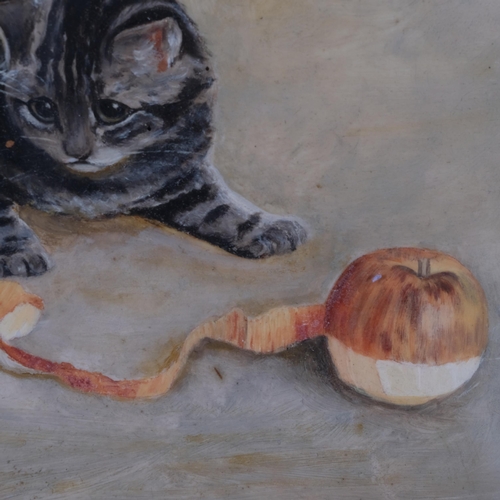 744 - 19th century painting on glass, study of 3 kittens with an apple, unsigned, 30cm x 37cm, framed