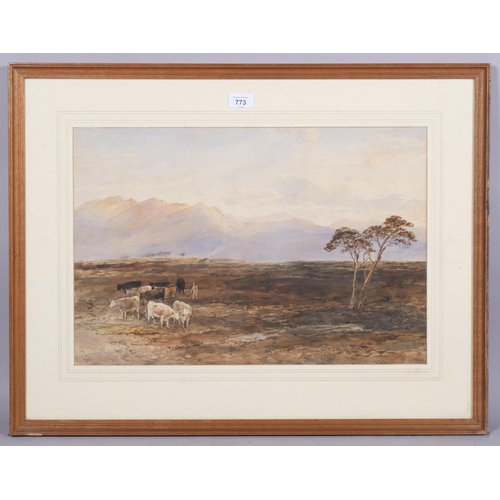 773 - Edward Tucker (1830-1909), watercolour on paper, Moorland with Distant Mountains, 35.5cm x 53cm, mou... 