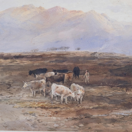 773 - Edward Tucker (1830-1909), watercolour on paper, Moorland with Distant Mountains, 35.5cm x 53cm, mou... 