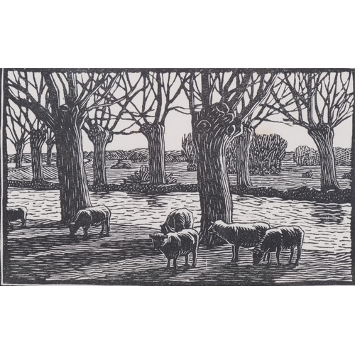 788 - Gwen Raverat (1885-1957), wood engraving on paper, Sheep by a River (1919), 6.4cm x 10.2cm, from the... 