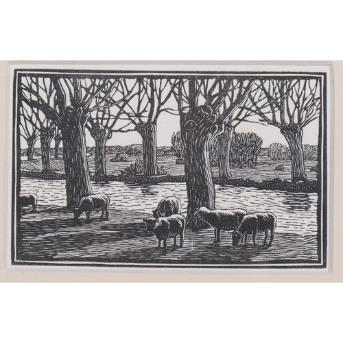 788 - Gwen Raverat (1885-1957), wood engraving on paper, Sheep by a River (1919), 6.4cm x 10.2cm, from the... 