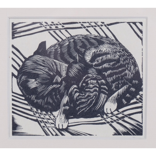 793 - John Nash (1893-1977), wood engraving on paper, Cat and Kitten, 8.5cm x 9cm, mounted, glazed and fra... 