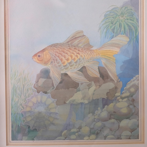 504 - F R Morgan - watercolour - golden carp. Signed and dated 1978. 60x50cm, framed.