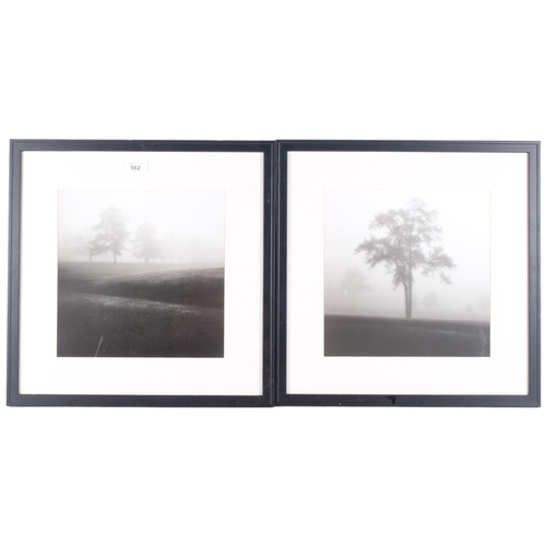 562 - 2 similar framed photographs, pine or spruce trees, misty scene, 43.5cm x 43.5cm