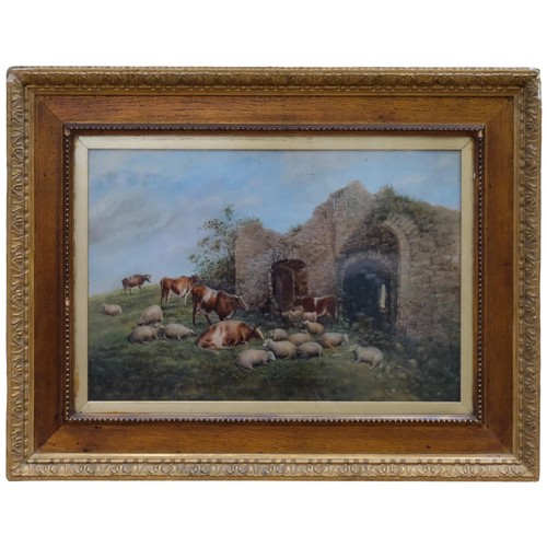 336 - Oil painting, sheep and cattle by ruined building, gilt-framed, 52cm x 67cm overall