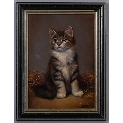 565 - Bessie Bamber (1870 - circa 1910), portrait of a kitten, oil on panel, signed with monogram, 17cm x ... 