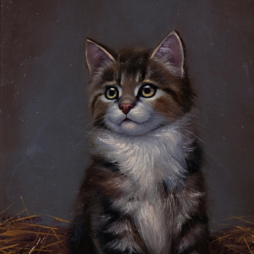 565 - Bessie Bamber (1870 - circa 1910), portrait of a kitten, oil on panel, signed with monogram, 17cm x ... 