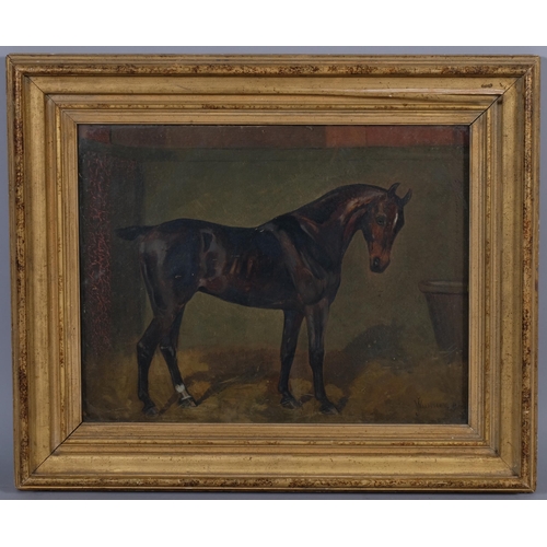 572 - J Walmsley, portrait of a horse in the stable, oil on canvas laid on board, signed and dated 1896, 3... 