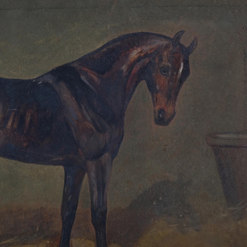 572 - J Walmsley, portrait of a horse in the stable, oil on canvas laid on board, signed and dated 1896, 3... 