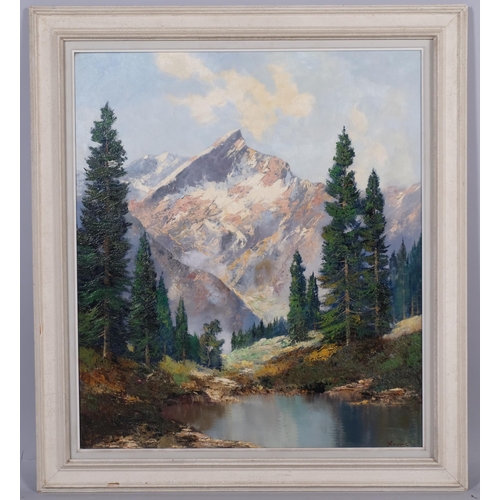 577 - Mid-20th century Alpine landscape, oil on canvas, indistinctly signed, 79cm x 69cm, framed