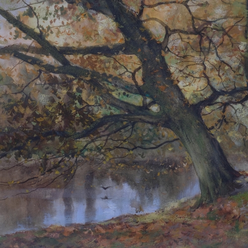 617 - Charles Gruppe (Canadian, 1860 - 1940), autumnal woodland river, watercolour, signed, 33cm x 41cm, f... 