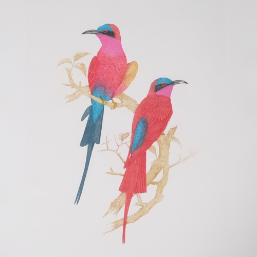 636 - Martin Woodcock, exotic birds, pair of hand coloured etchings, signed in pencil, plate 58cm x 41cm, ... 