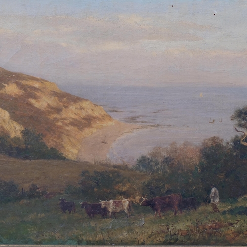 672 - William Henry Borrow, a 19th century cliff top scene at Fairlight, East Sussex, oil on canvas, signe... 