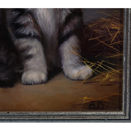 565 - Bessie Bamber (1870 - circa 1910), portrait of a kitten, oil on panel, signed with monogram, 17cm x ... 