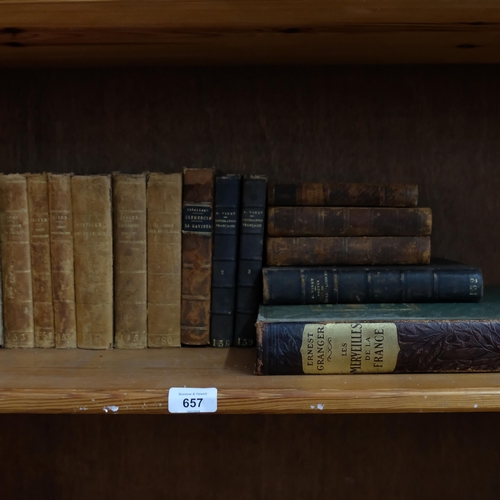 741 - A quantity of 19th century French leather-bound books (21)