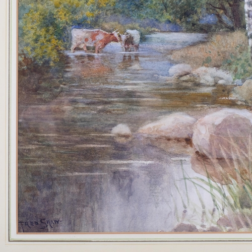 839 - Fred Shaw, cattle in a stream, watercolour, signed, 52cm x 34cm, framed