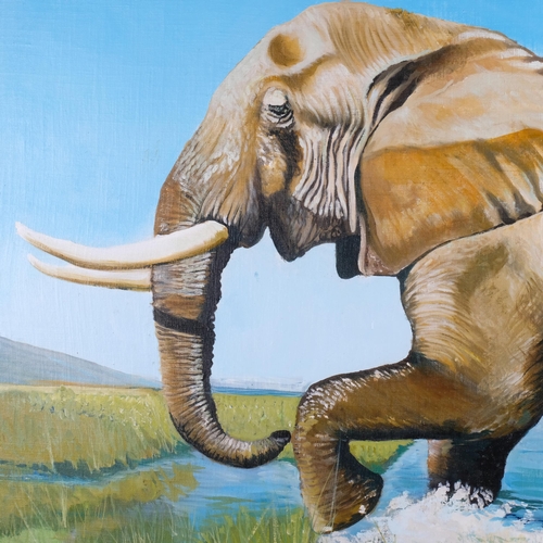 854 - Clive Fredriksson, a large oil on canvas, wading elephant, unsigned and unframed, 84cm x 118cm