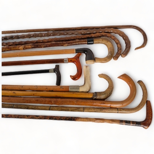 102 - A group of various walking sticks and canes, including ram's horn handled etc (12)