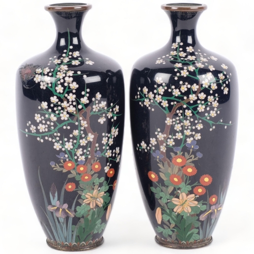 398 - A pair of blue ground Antique cloisonne vases, with blossom and floral decoration (some damage), H15... 