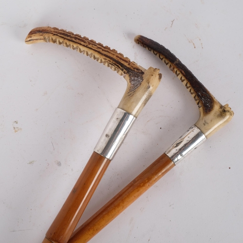 70 - An early 20th century Malacca and similar bamboo-shafted horn-handled riding crops with silver colla... 