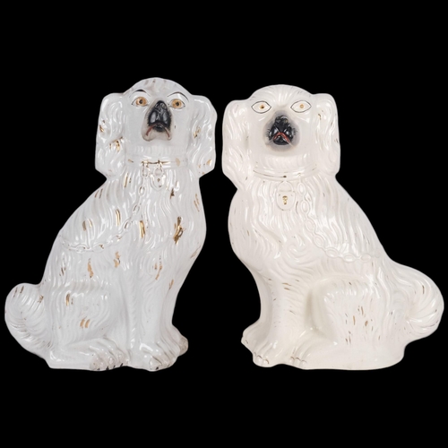 556 - A large matched pair of King Charles Spaniel Staffordshire dogs, H41cm