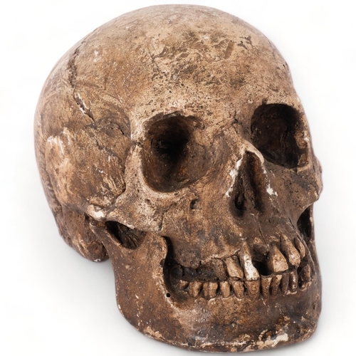 671 - A painted plaster model skull, H14cm