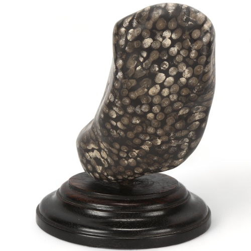 71 - A piece of black fossilised coral mounted on hardwood plinth, height 14cm