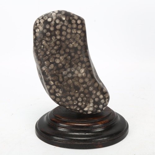 71 - A piece of black fossilised coral mounted on hardwood plinth, height 14cm