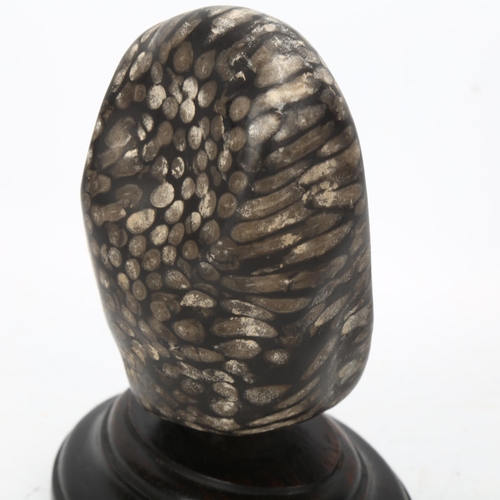 71 - A piece of black fossilised coral mounted on hardwood plinth, height 14cm