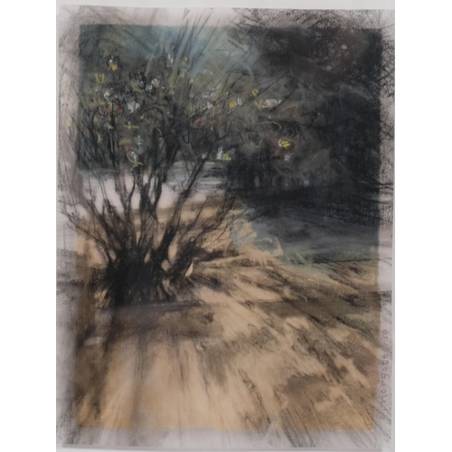 561 - Leslie Norgate (Canadian), winter shadows Banff, charcoal on velum, signed and dated 2010, 16.5cm x ... 