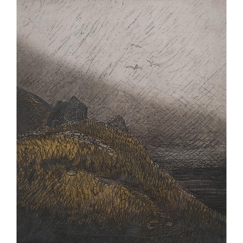 563 - Maria Simonds-Gooding, Rain From The West, coloured etching, signed in pencil, no. 16/85, plated 28c... 