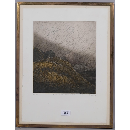 563 - Maria Simonds-Gooding, Rain From The West, coloured etching, signed in pencil, no. 16/85, plated 28c... 