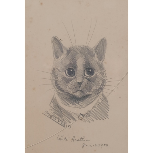 584 - Louis Wain (1860 - 1939), white heather June 10 1904, pencil drawing, signed, 24cm x 16cm, framed