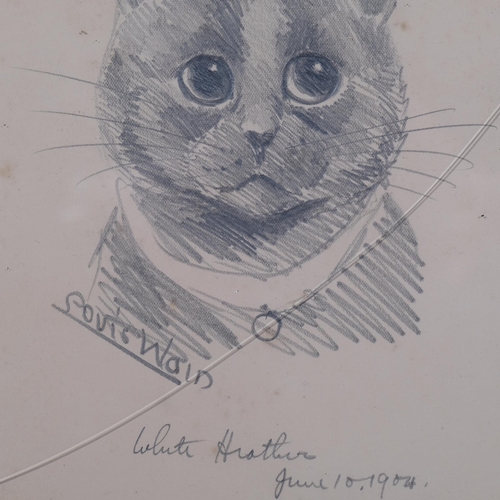 584 - Louis Wain (1860 - 1939), white heather June 10 1904, pencil drawing, signed, 24cm x 16cm, framed