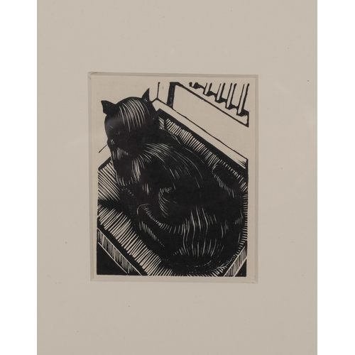 635 - John Nash (1893-1977), wood engraving on paper, The Black Cat, 8.5cm x 6.5cm, mounted, glazed and fr... 