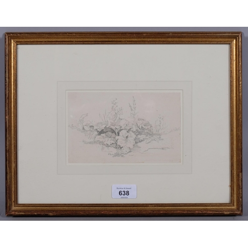 638 - John White Abbott (1763-1851), pencil on paper, Plant Study, 10.7cm x 17.3cm, mounted, glazed and fr... 