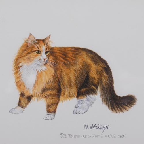 656 - Mary McGregor (XX-XX1), watercolour on paper, Tortie and White Maine Coon, signed lower right, 15cm ... 