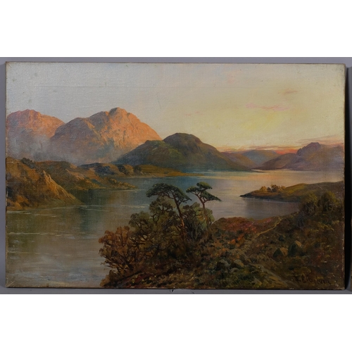 683 - F E Jamieson, pair of Highland loch scenes, oils on canvas, signed, 40cm x 61cm, framed