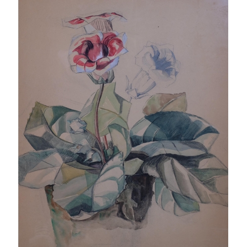 695 - D Weeraat, 4 still life botanical studies, watercolour/pencil, largest 51cm x 42cm, framed (4)