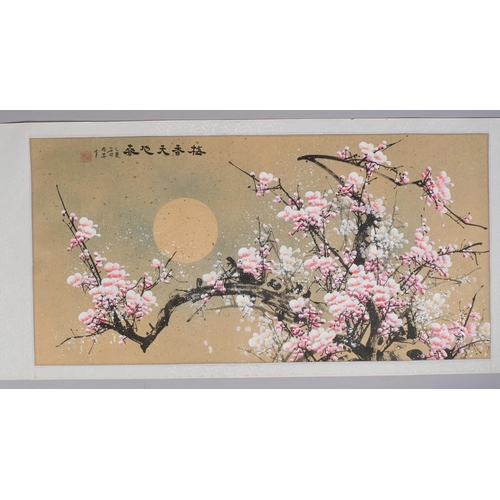 750 - Chinese scroll painting, cherry blossom, silk surround, 127cm x 62cm