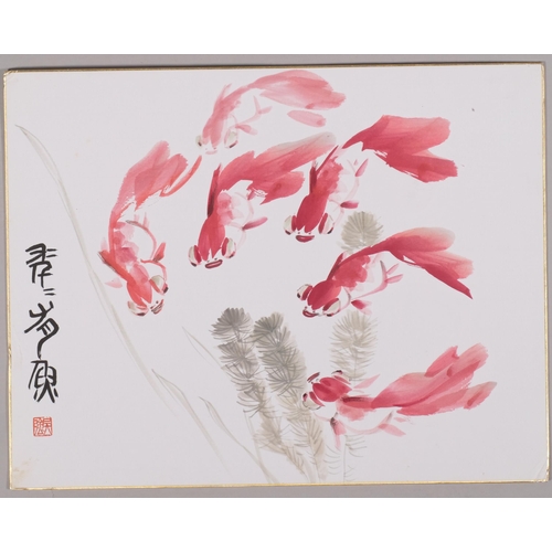 756 - Attributed Wu Qiang, Chinese watercolour, study of goldfish, 32cm x 41cm, unframed