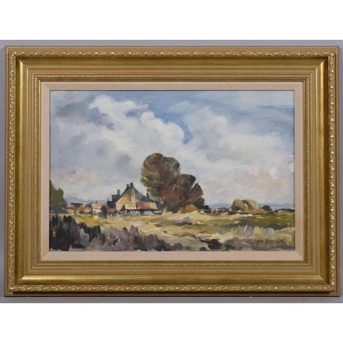 794 - John Snelling, Norfolk landscape, oil on board, signed, 30cm x 44cm, framed