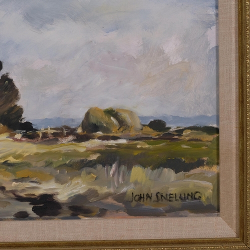 794 - John Snelling, Norfolk landscape, oil on board, signed, 30cm x 44cm, framed